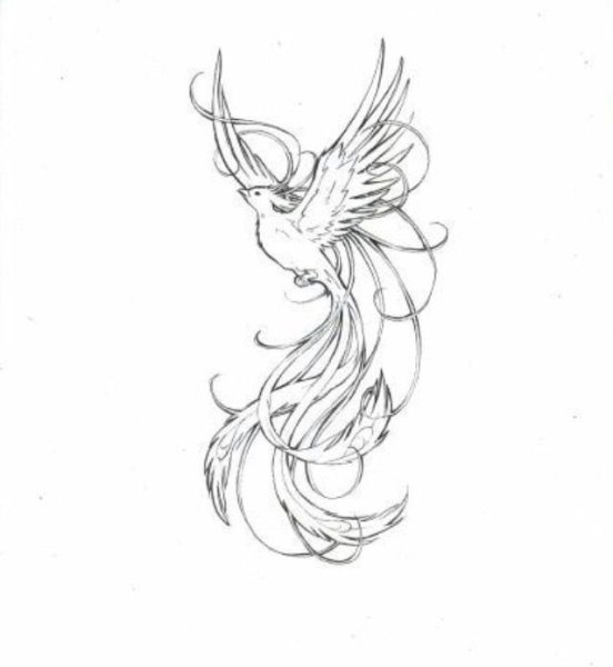 Феникс тату эскизы