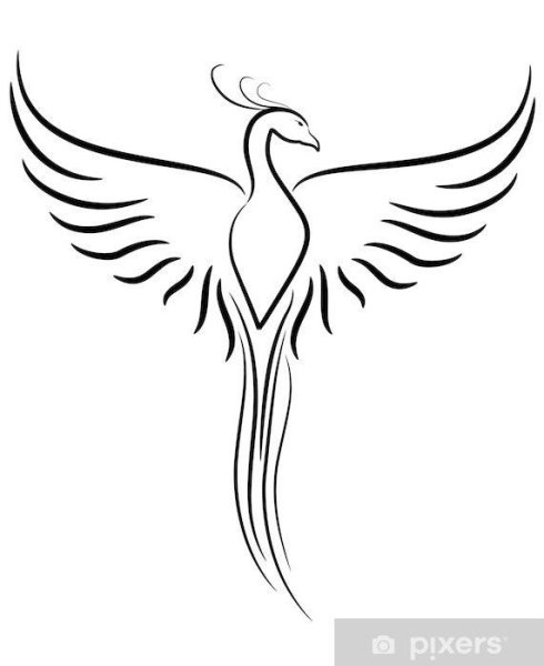 Феникс эскиз