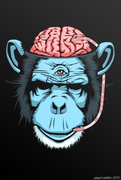 Крутая обезьяна арт