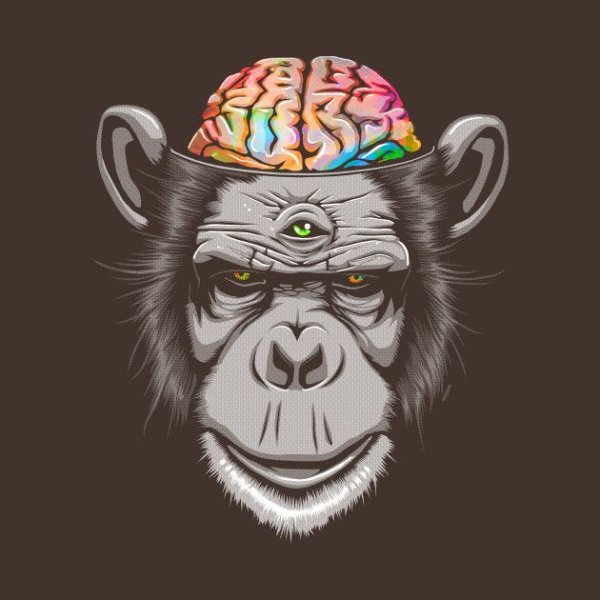 Крутая обезьяна