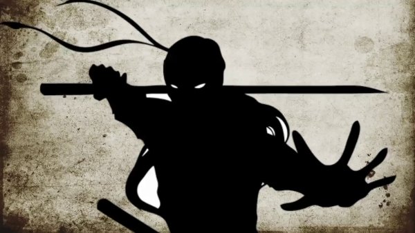 Эмблема ниндзя