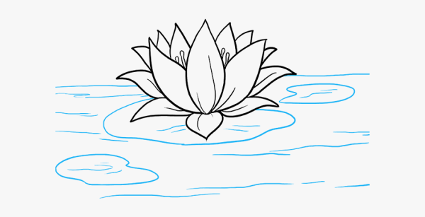 Как нарисовать Лотос карандашом