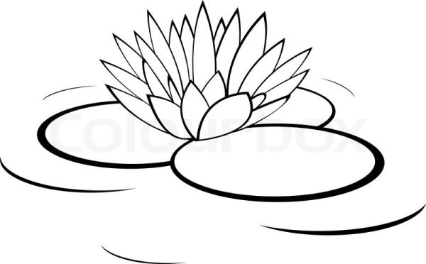 Лист кувшинки контур