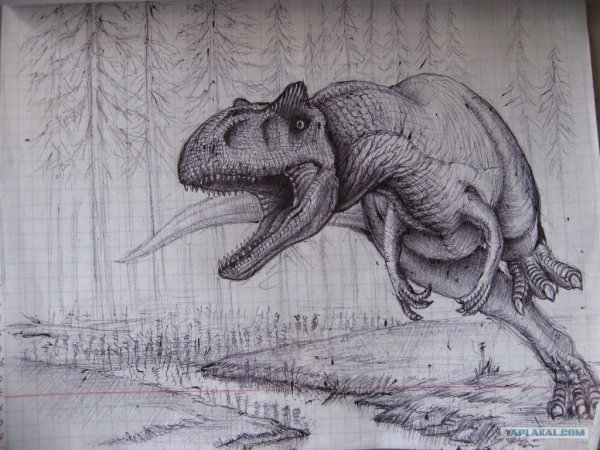 Динозавр рисунок карандашом