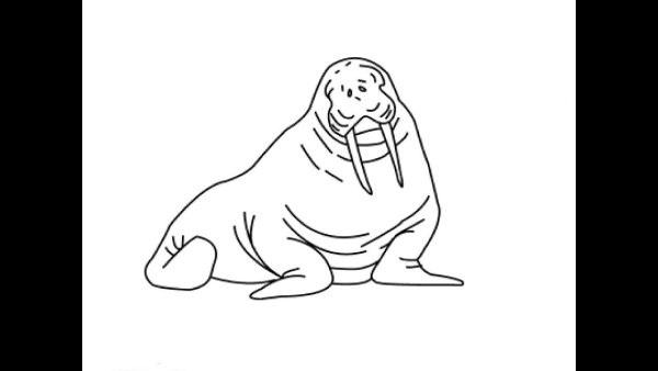 Рисование морж