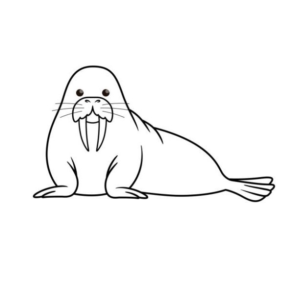 Силуэт моржа для детей