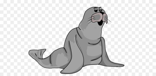 Морские котики мультяшные