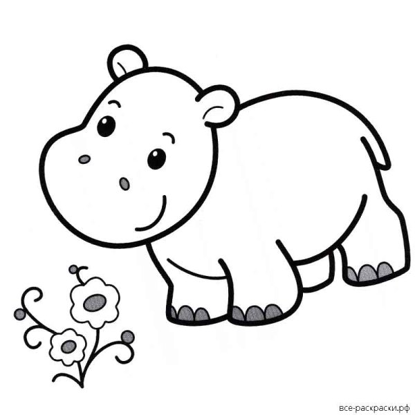 Раскраски для девочек Бегемотик