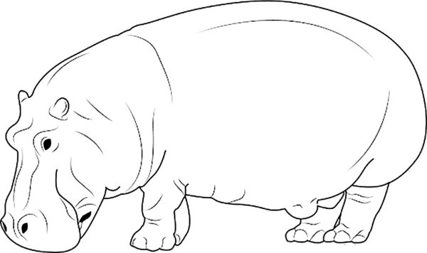 Распечатка гиппопотам