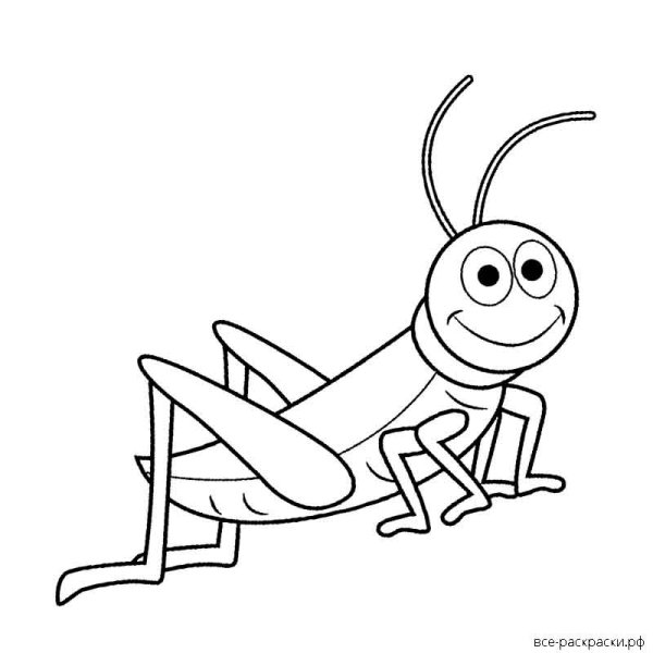 Кузнечик раскраска