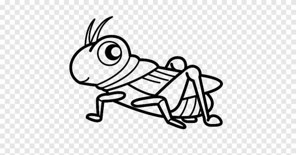 Кузнечик контур