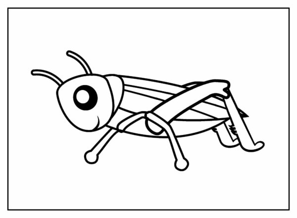 Кузнечик рисунок