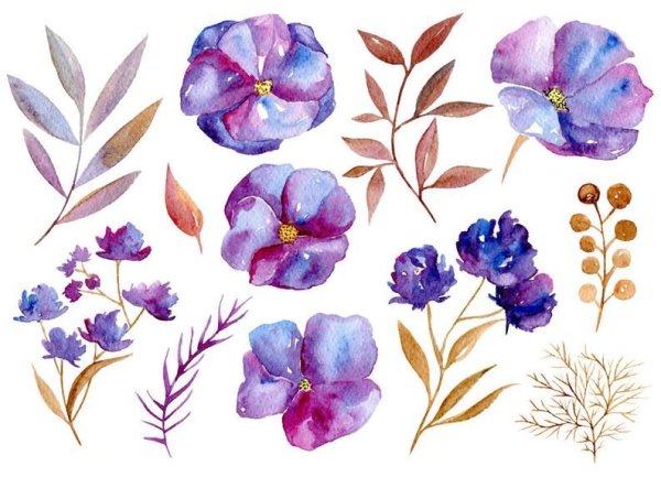 Цветы без фона