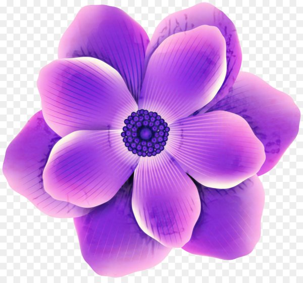 Цветы акварель