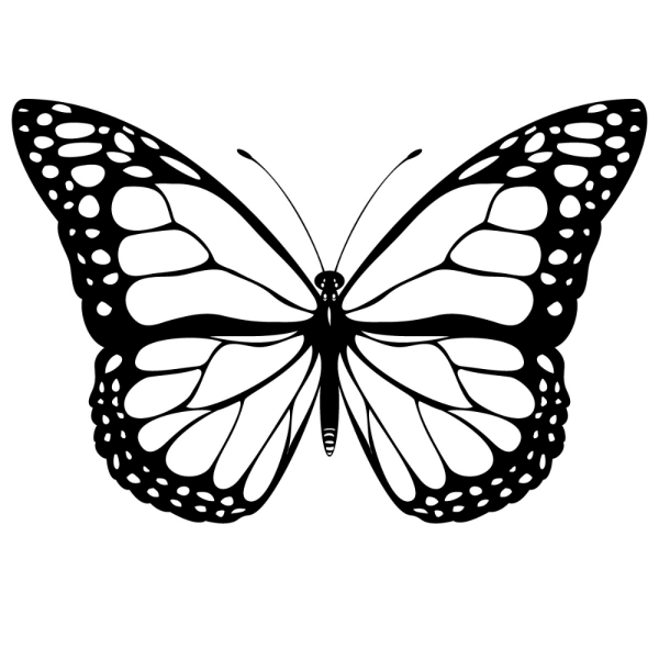 Раскраска "бабочки"