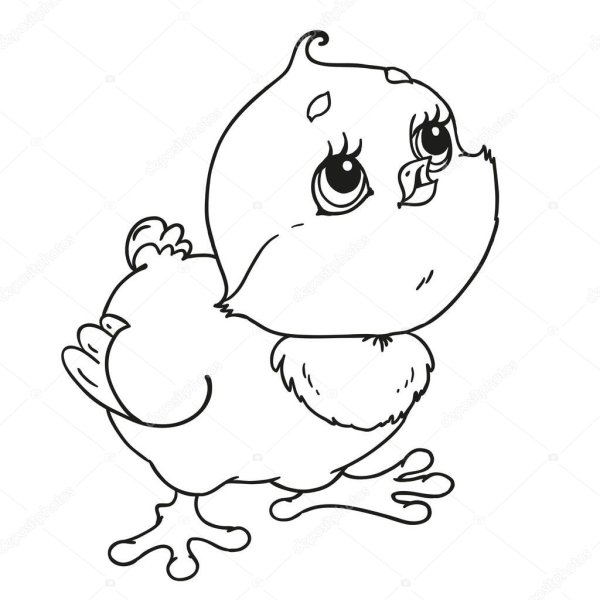 Цыпленок. Раскраски
