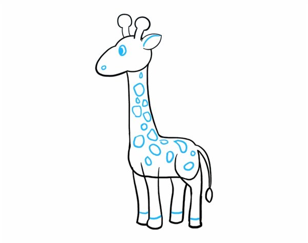 Жираф рисунок для срисовки