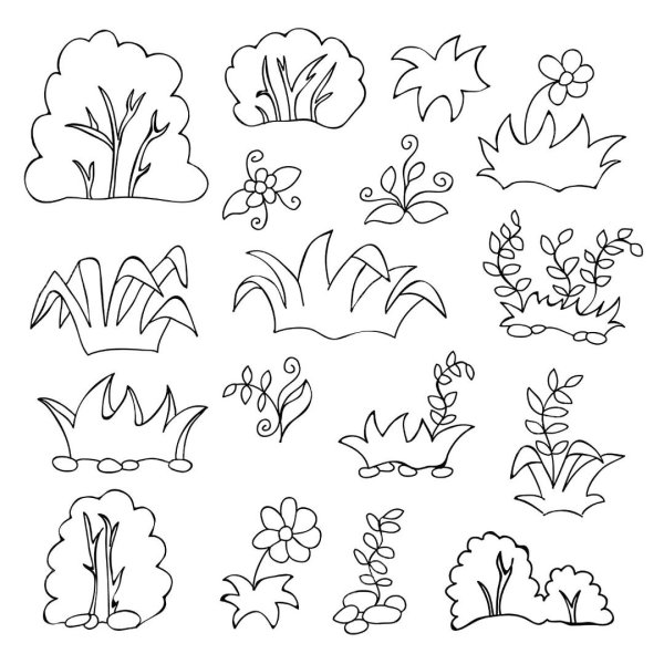 Раскраска кустарники для детей