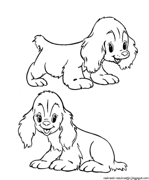 Щенок раскраска для детей