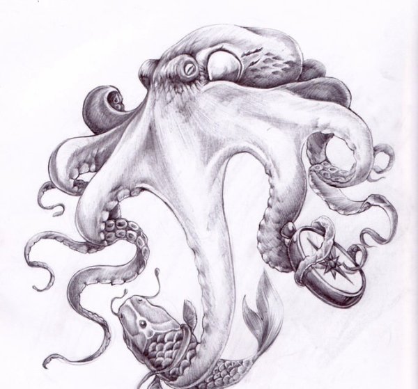 Щупальца осьминога эскиз