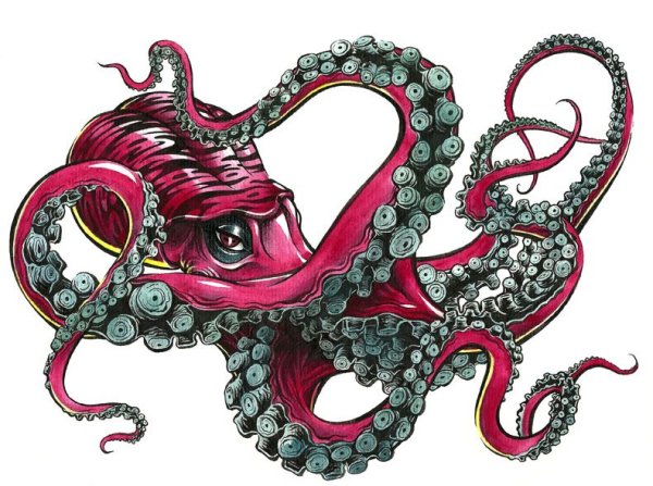 Тату осьминог с черепом