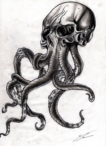 Кракен тату эскиз