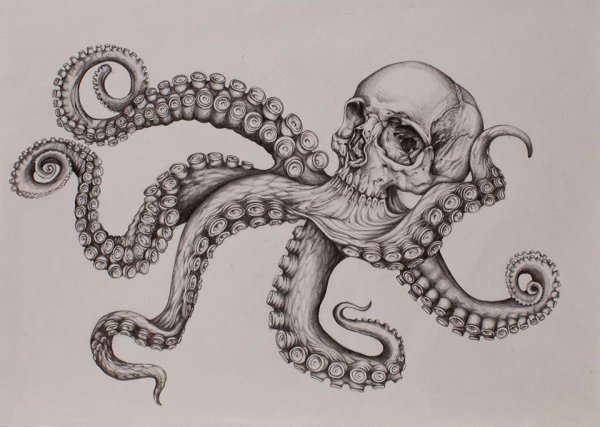 Осьминог / Кракен арт