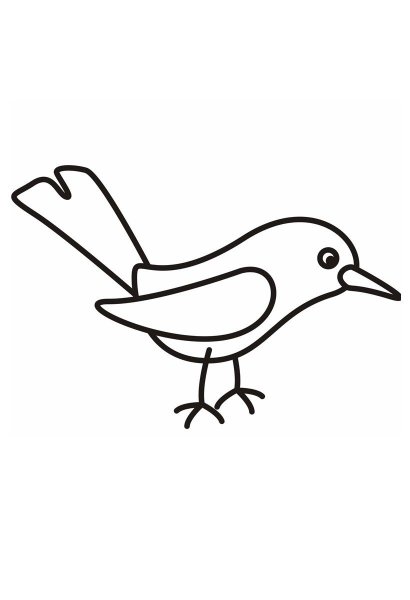 Раскраска для малышей. Птицы