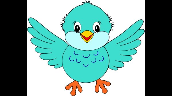 Птички картинки для детей