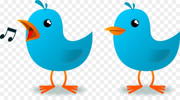 Птичка для дошкольников