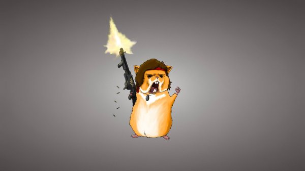 Боевой хомячок