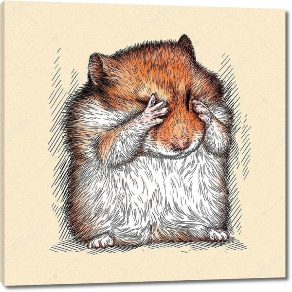 Веселый и грустный хомяк