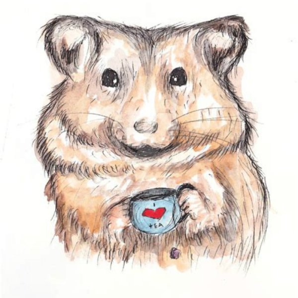 Хомячок в очках рисунок