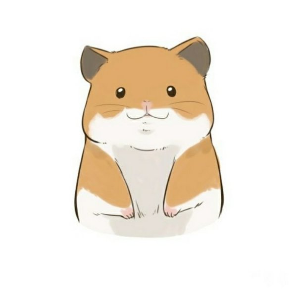 Милые мультяшные хомячки