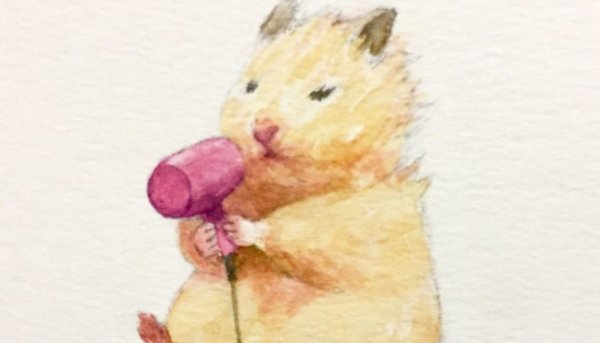 Хомяк гуашью