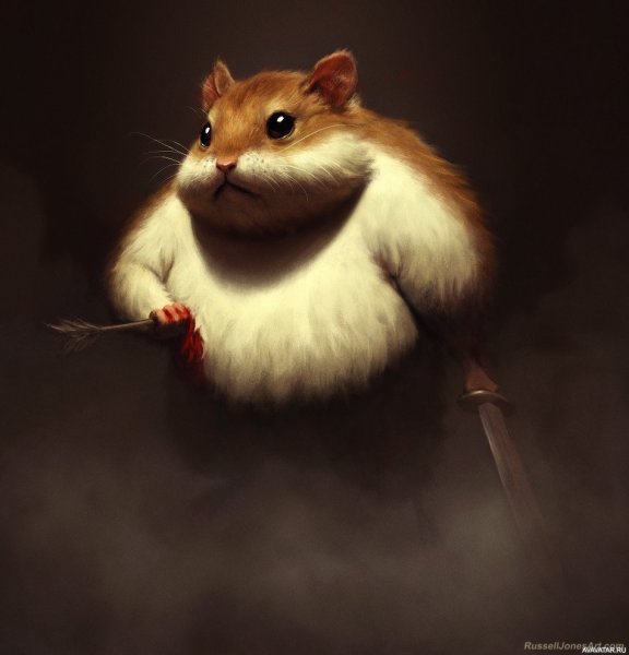 Смешной хомяк рисунок