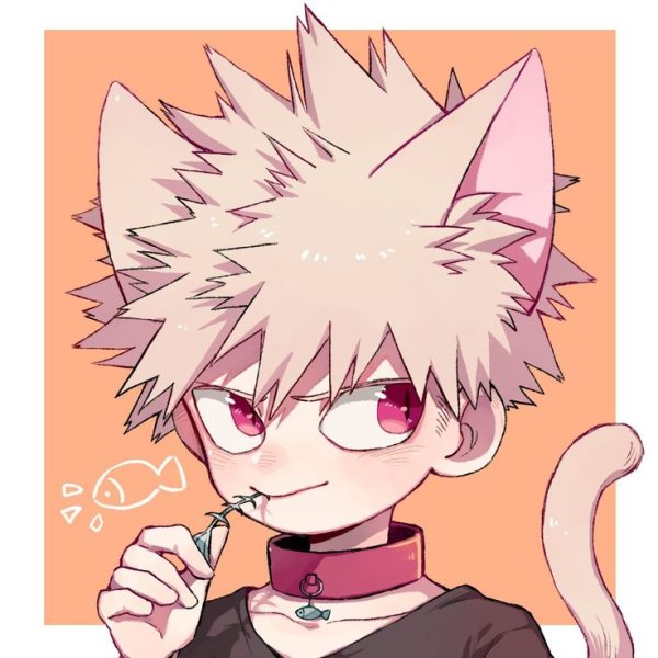 Кацуки Бакугоу неко