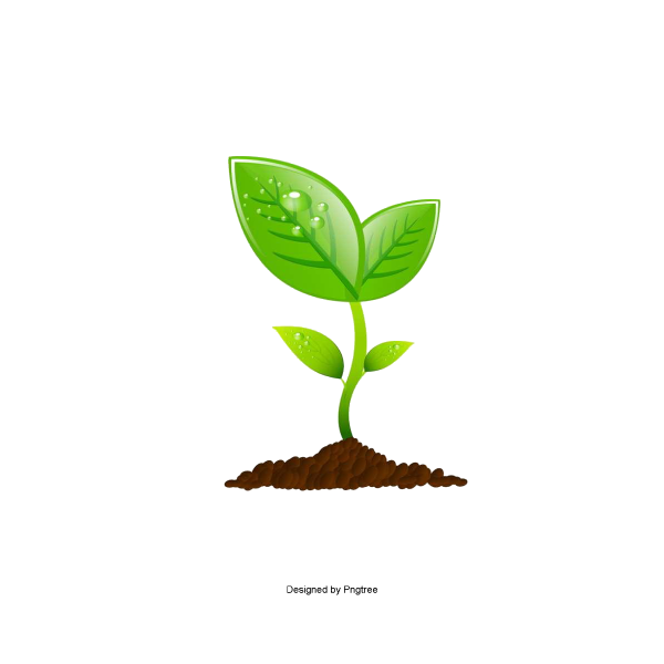 Росточек без фона