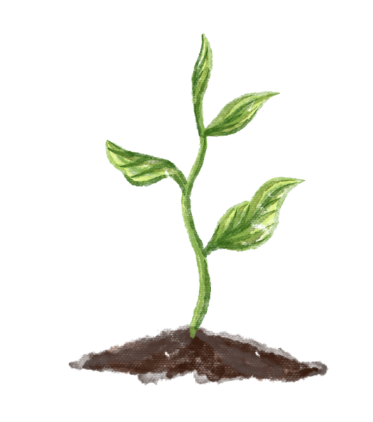 Росток рисованный