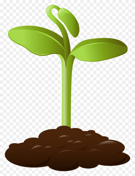 Нарисованный Росток