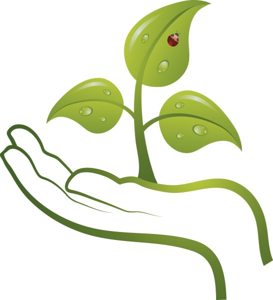 Росточек дети