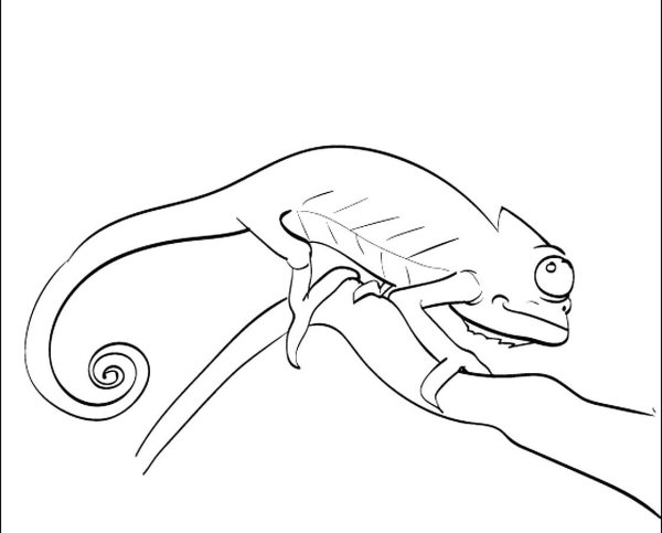 Хамелеон арты