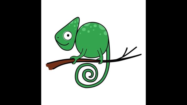 Хамелеон черно белый