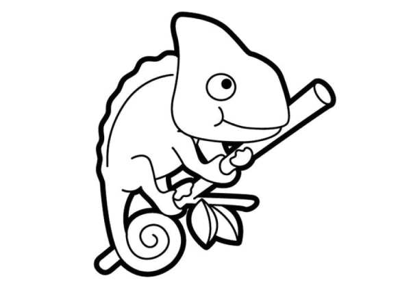 Хамелеоны. Раскраска