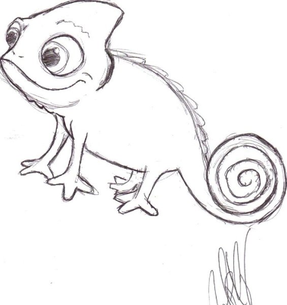 Ящерица раскраска