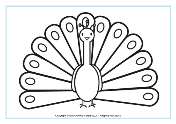 Рисунок павлина карандашом для срисовки