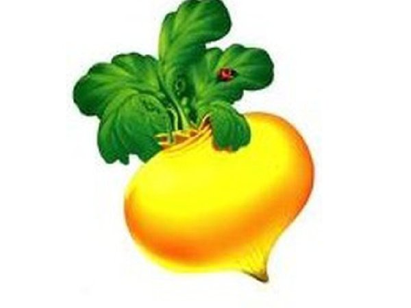 Герои сказки Репка Репка