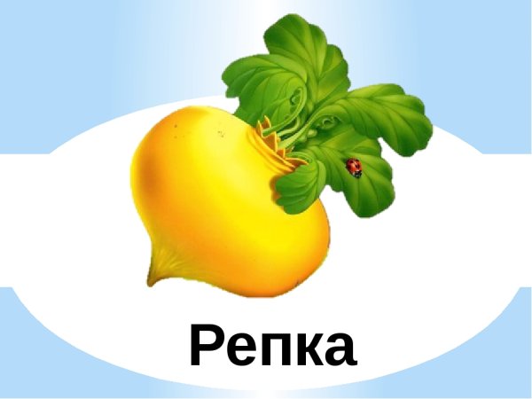 Репка картинки для детей