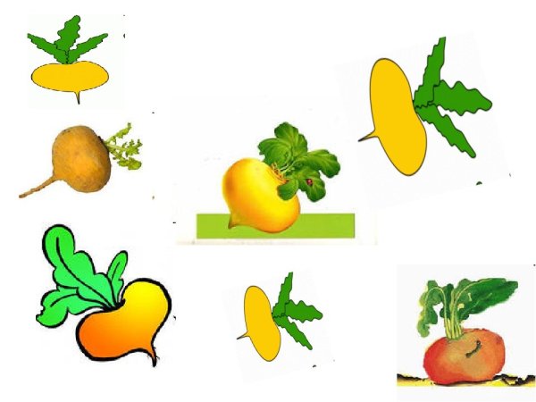 Репка раздаточный материал