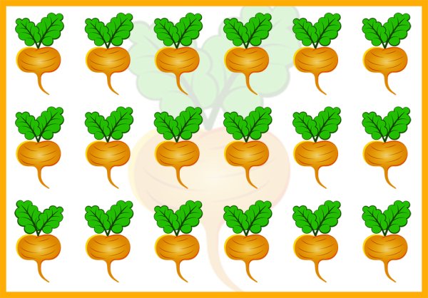 Материал счетный «овощи»